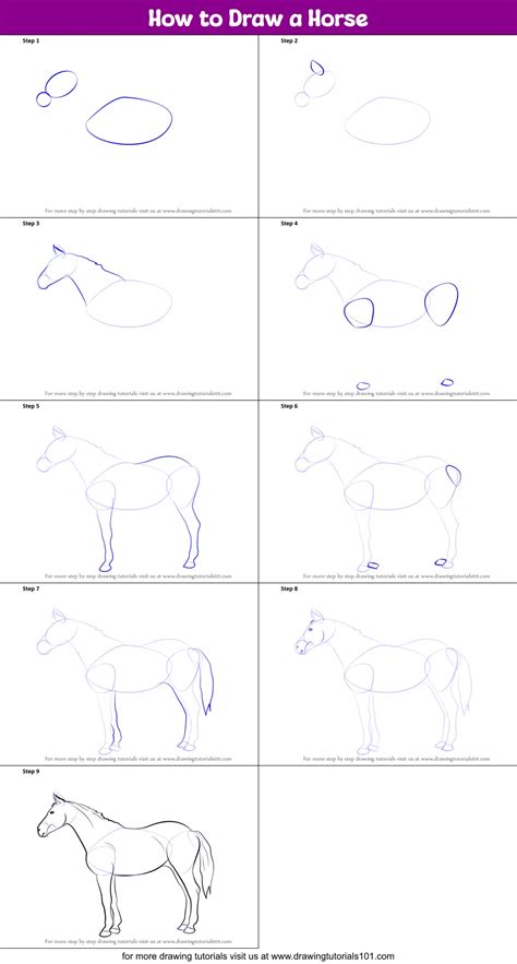 How to Draw a Horse printable step by step drawing sheet ...