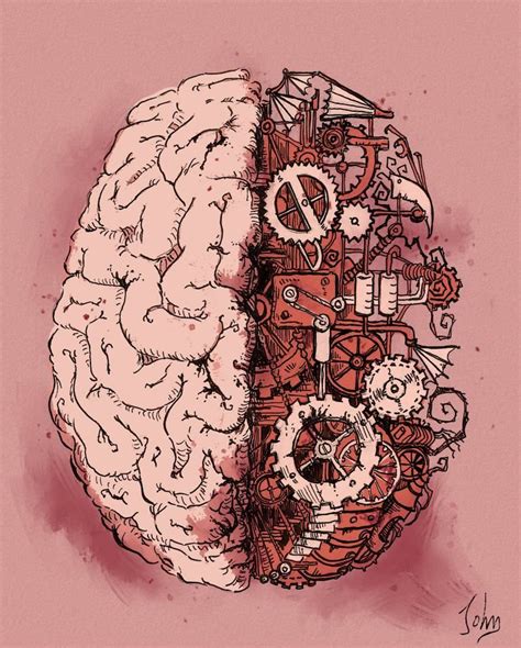 Brain Anatomy Aesthetic