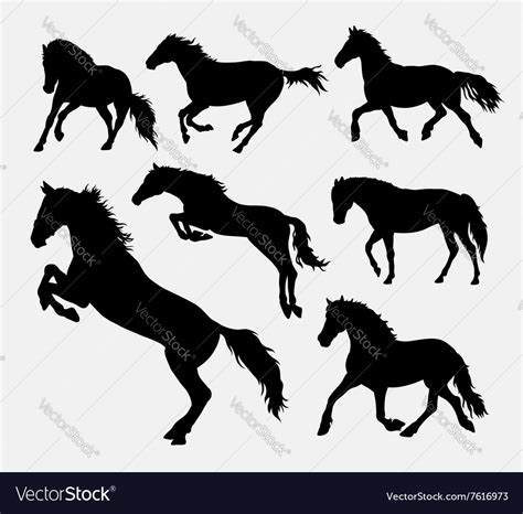 Horse jumping running walking action silhouette Vector Image