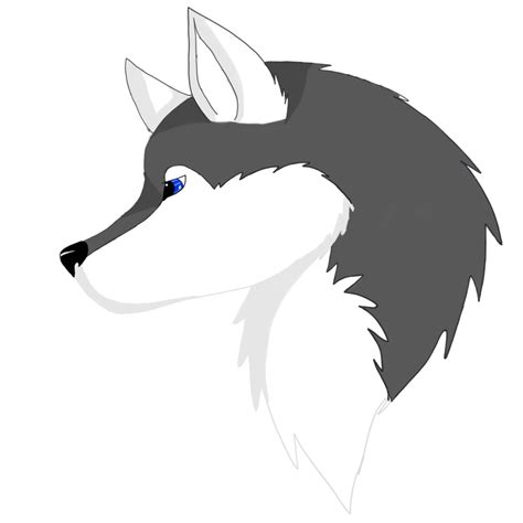 The Wolves - Haunted