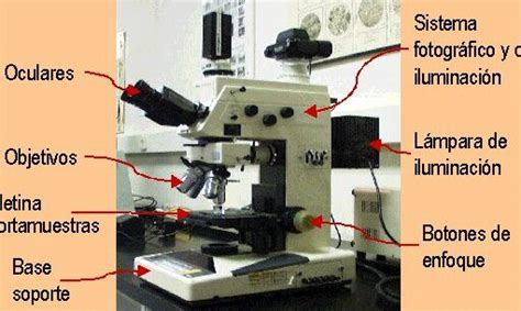 Microscopio Metalogr Fico Descubre La Estructura De Los Metales