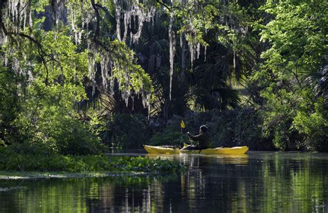 My Favourite Places to Kayak in Florida by Ryan Toler | 57hours