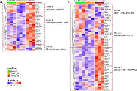 Heatmap Of The Leading Edge Genes Identified In Two Selected Pathways