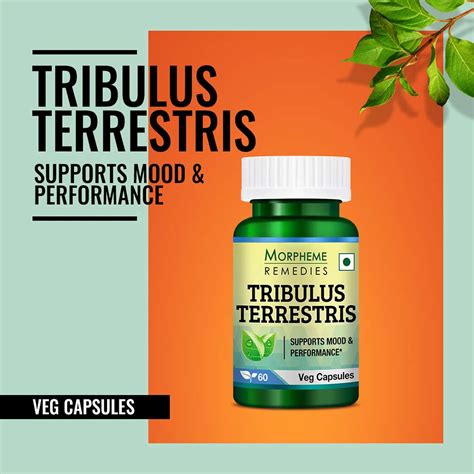 Morpheme Tribulus Terrestris Capsules 60 Capsules Online In India