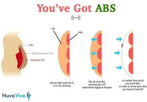 how to know how many abs you have