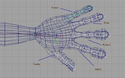 Character Rigging Tutorial