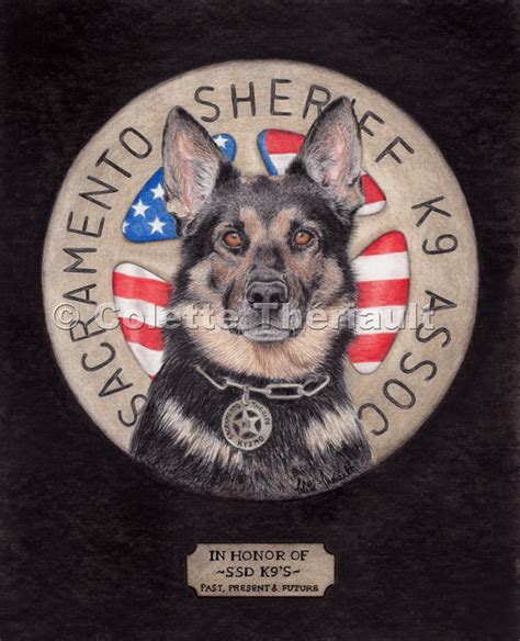 German Shepherd Police Service Working Dog And Military K9 Pet