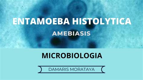 Parasito Entamoeba Histolytica Damaris Morataya Udocz