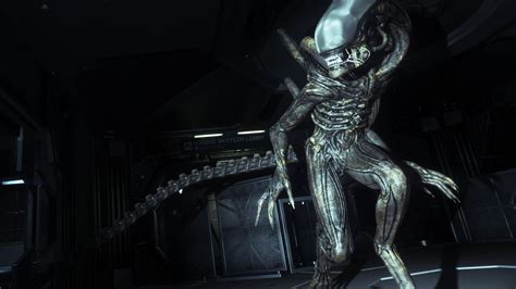 A New AAA Alien Game is in Development & Alien: Isolation could also be getting a sequel. : r ...