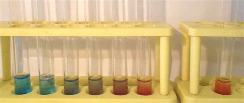 Sciences De La Vie Et De La Terre Site Svt Acad Mie De Versailles