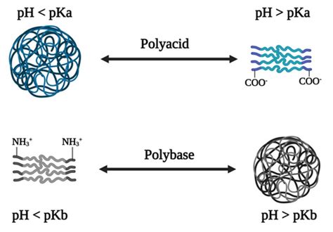 Phresponsive Polymers For Drug Delivery Trends And Opportunities