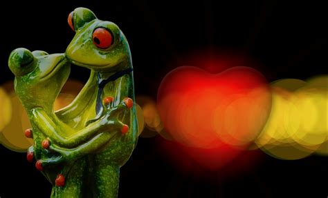 Free Images Flower Cute Heart Green Red Color Couple Romance