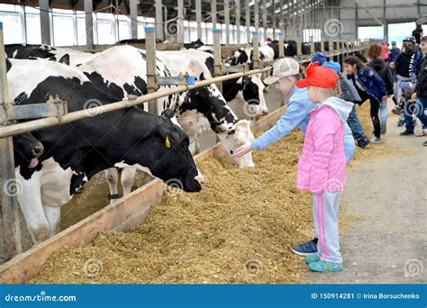 Children`s Excursion To A Dairy Farm Editorial Photo Image Of People