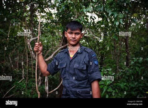 A Thai Soldier Along The Cambodian Border Stock Photo Alamy