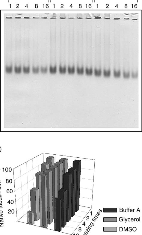 A Nondenaturing Polyacrylamide Gel Electrophoresis 6 Download Scientific Diagram