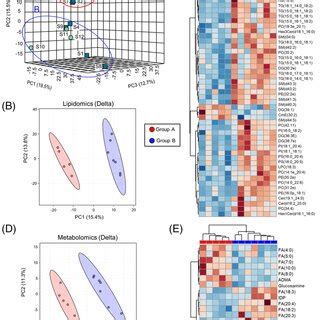 Dried Blood Spot Metabolomics Reveals Metabolic Changes In Response To