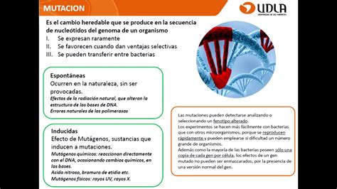 Microbiologia Clase VI UDLA 2017 YouTube