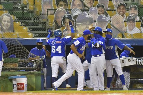 Tigres Del Licey Podrán Practicar Sábado Y Domingo Retornarían El