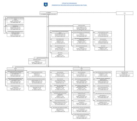Struktur Organisasi Pemerintah Provinsi Kepulauan Bangka Belitung