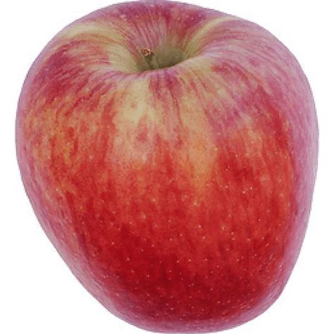 Organic Ambrosia Apple | Shop | Martins - Emerald