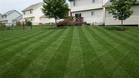 Tips For Striping Your Lawn Like A Pro