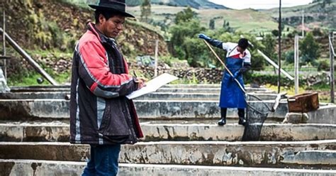 Ley General De Acuicultura Y Su Reglamento Cu L Es Su Objetivo Y En