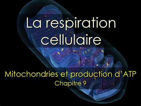 La Respiration Cellulaire Ppt Télécharger