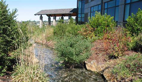 Hatfield Marine Science Center, Newport, OR | Dougherty Landscape ...