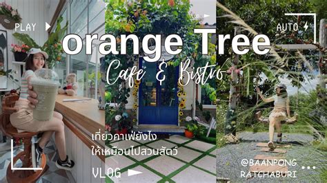 Orange Tree Cafeandbistro Ep2 เที่ยวคาเฟ่ยังไงให้เหมือนไปสวนสัตว์