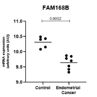 FAM168B Is Expressed At Significantly Lower Levels In The Endometrial