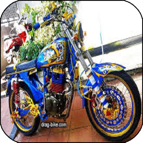 detail gambar struktur sel hewan  struktur sel tumbuhan koleksi nomer