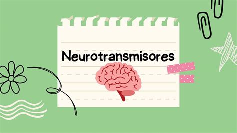 Neurotransmisores Briggitt Chavez Rubi Os Udocz