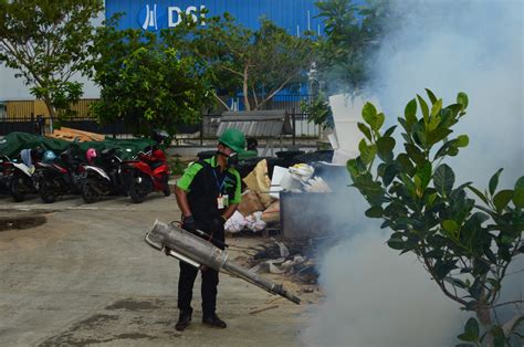 Jasa Pembasmi Serangga Spesialis IMPROCARE PT Mahaka Improcare