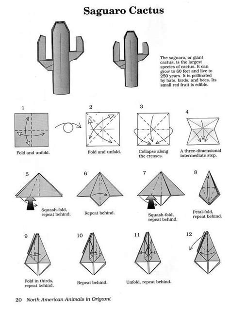 Origami Cactus Origami