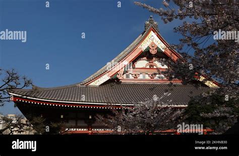 Sensoji Temple in Tokyo, Japan, Asakusa Kannon Temple, Cherry Tree ...