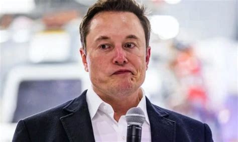 Allarme Rosso Elon Musk Potrebbe Fallire Disastro In Tutto Il