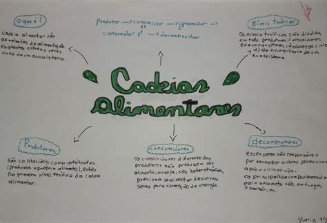 Mapa Mental Cadeia Alimentar - Mapa Mental Cadeia E Teia Alimentar Ensino
