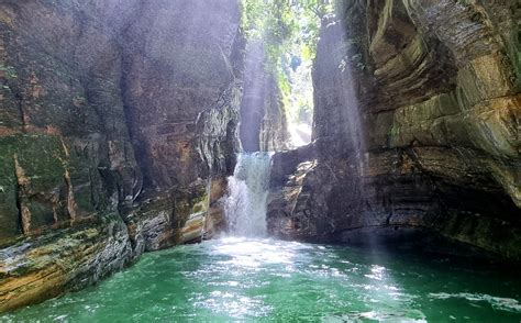 La Fuente Del Jaguar Un Para So En La Selva Jujuy Argentina