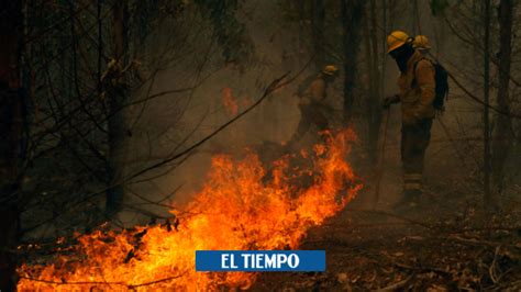 Incendio Forestal En Bols N Argentina Ha Consumido Hect Reas