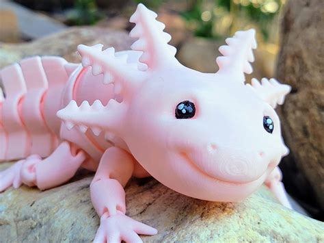 Articulated Axolotl Fidget Toy Desk Fidget Toy Sensory Toys Etsy Hong