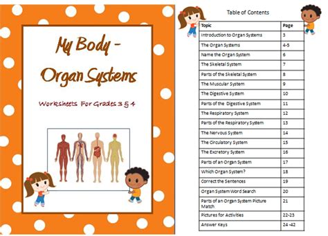 Organ System Overview Worksheets