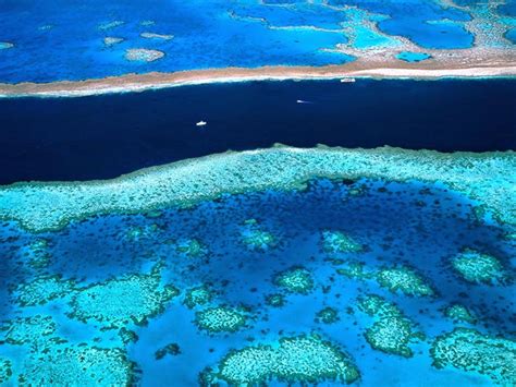 La Grande Barriera Corallina Australiana Just Australia