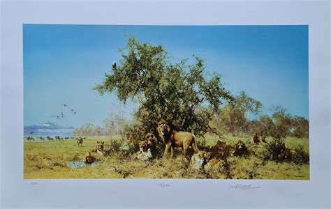 Davidshepherd Signed Limited Edition Print Africasilk