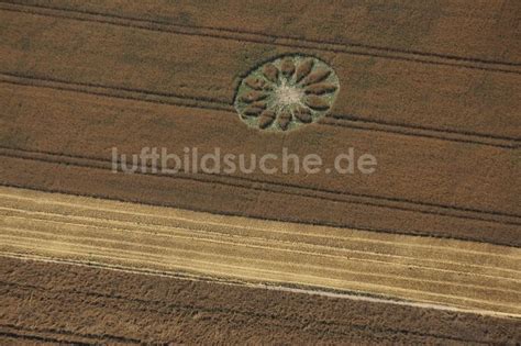 Schönefeld aus der Vogelperspektive Kornkreis in einem Getreide Feld