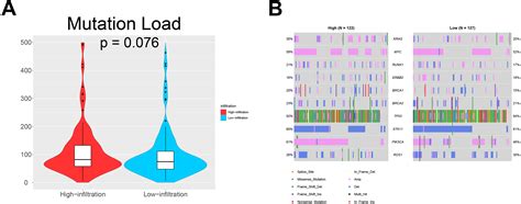 Comprehensive Genomic Analysis Of Microenvironment Phenotypes In