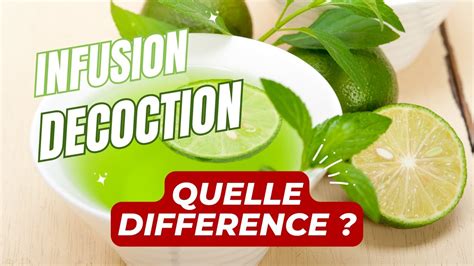 Infusion Ou Décoction Quelle Différence Youtube