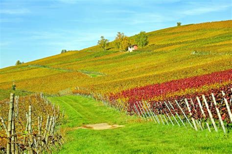 Imagen gratis: agricultura, rural, campo, paisaje, naturaleza, campo