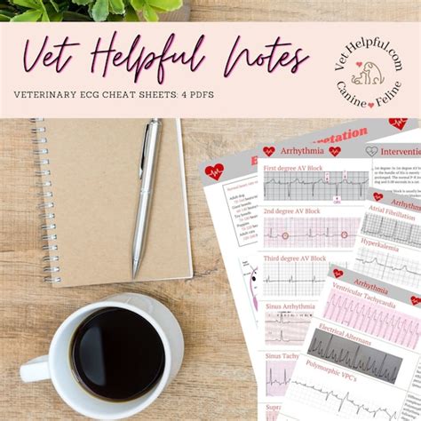 Vet Ecg Cheat Sheets Vet Nurse Ecg Guide Vet Tech Ecg Guide Etsy Finland