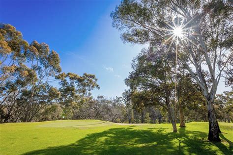 Par 3 | North Adelaide Golf Course