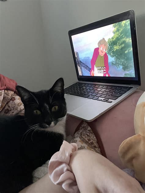 He loves watching Disney movies so much | Scrolller
